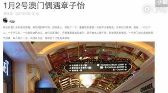 澳门最新爆料快报网站,快报网站揭秘热点事件